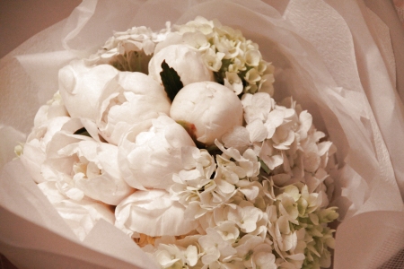 White Roses