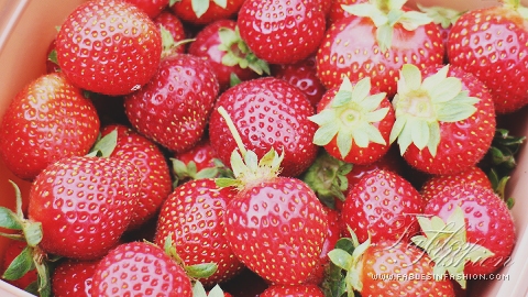 Strawberry Picking