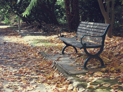 Alfred Nicholas Memorial Gardens