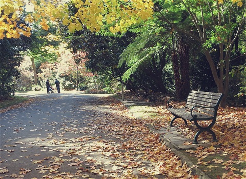 Alfred Nicholas Memorial Gardens