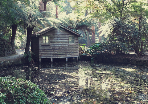 Alfred Nicholas Memorial Gardens