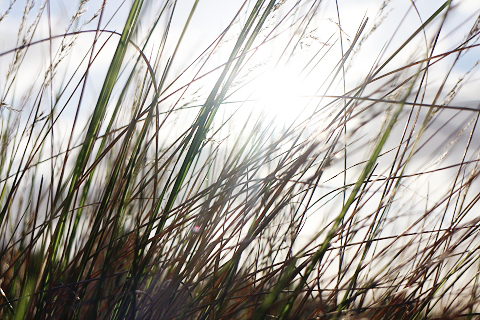 Imagery ~ Beach Walk