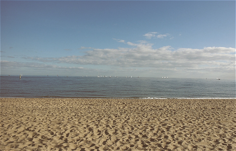 Imagery ~ Beach Walk