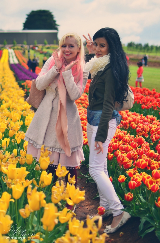 Tesselaar Tulip Festival