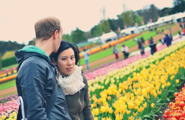 Tesselaar Tulip Festival