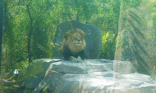 San Diego Zoo