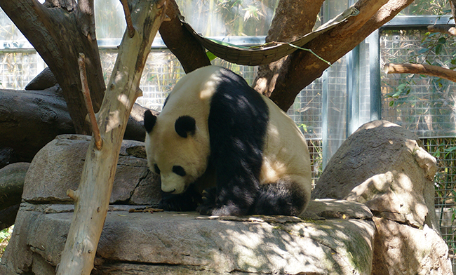 San Diego Zoo