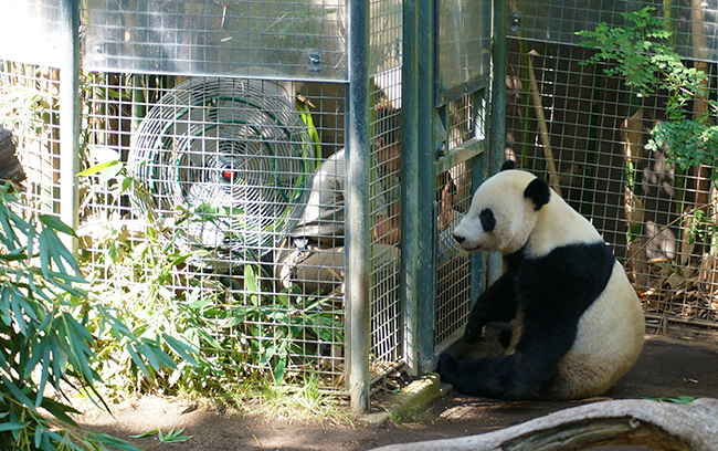 San Diego Zoo