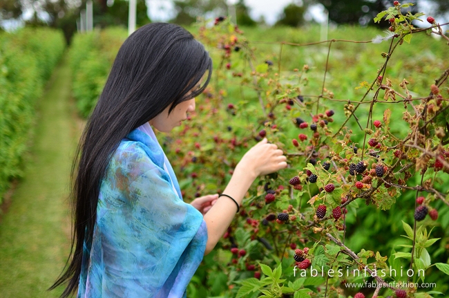 OOTD ~ Berry Picking