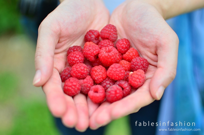 OOTD ~ Berry Picking