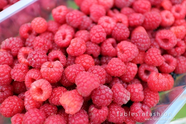 Berry Picking