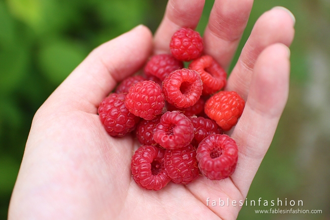 Berry Picking