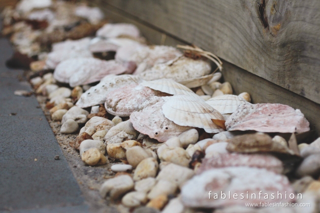 Imagery ~ Backyard Dinner