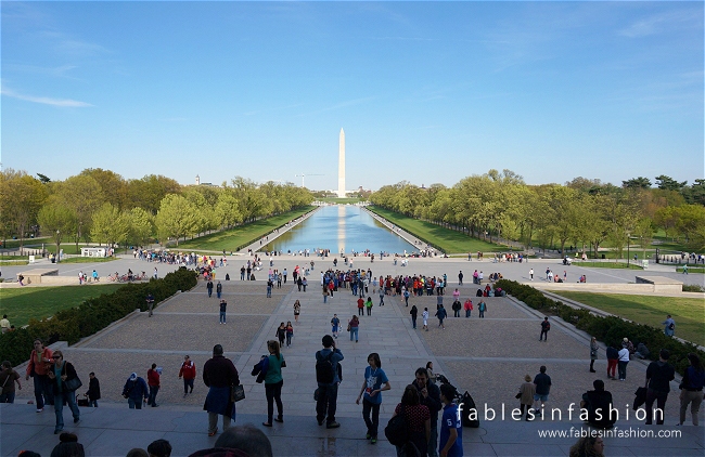 Washington DC + Smithsonian