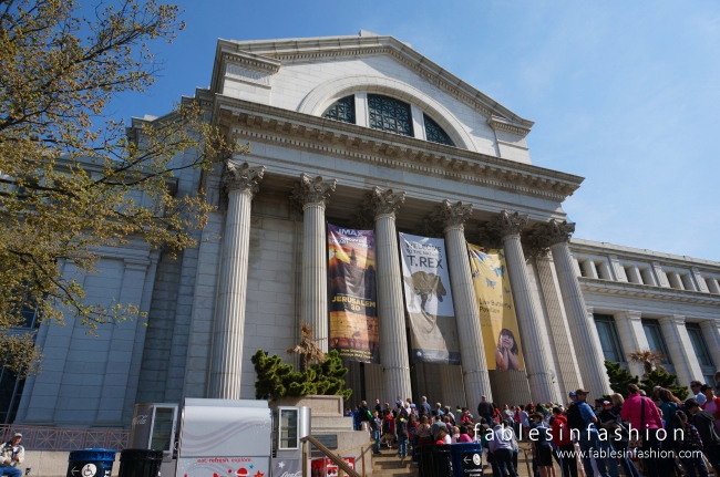 Washington DC + Smithsonian