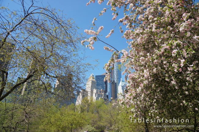 Imagery ~ New York City