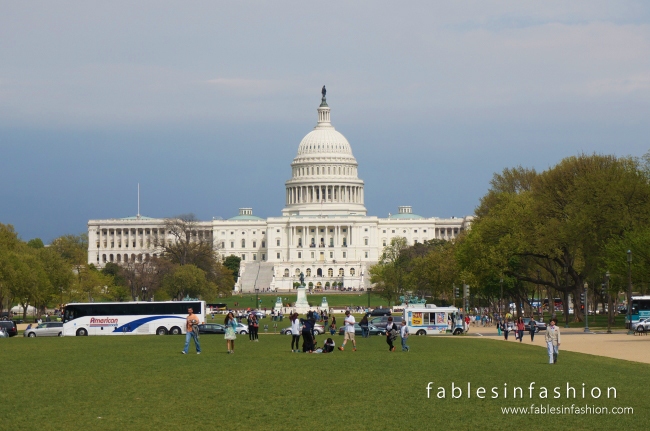 Washington DC + Smithsonian