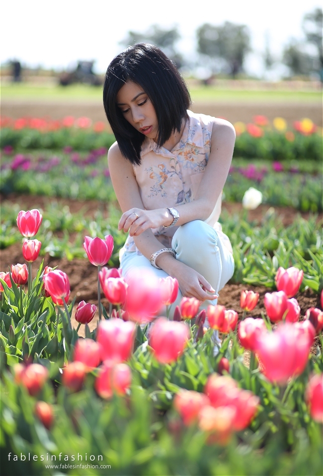 Tesselaar Tulip Festival 2014