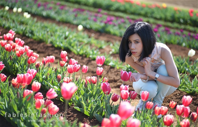 Tesselaar Tulip Festival 2014