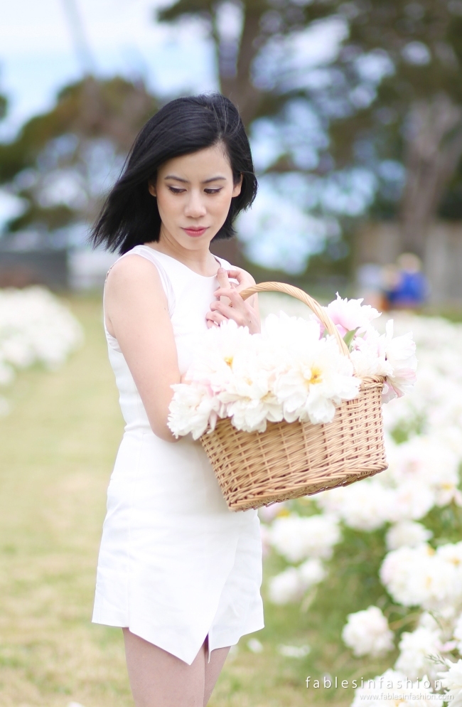 Spring Hill Peony Farm Fables In Fashion