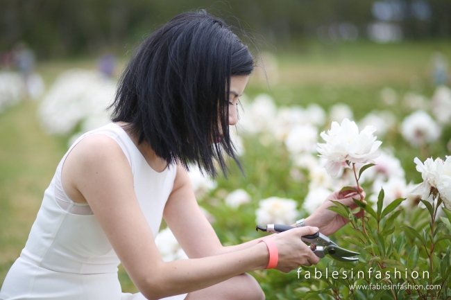 Spring Hill Peony Farm Outfit