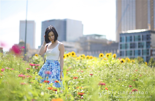 Melbourne City Sunflowers