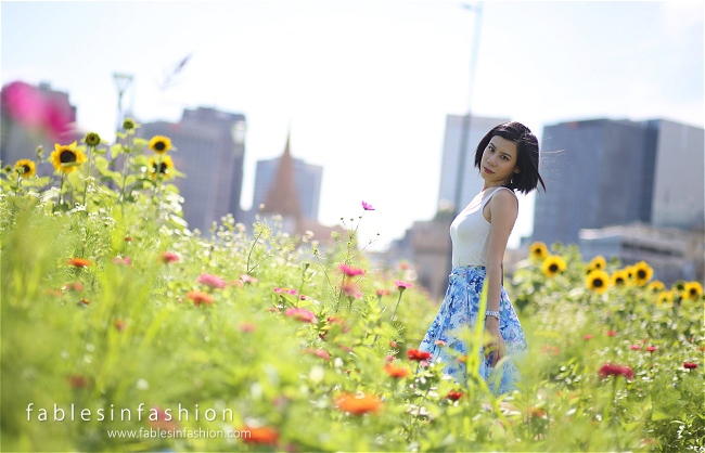 Melbourne City Sunflowers