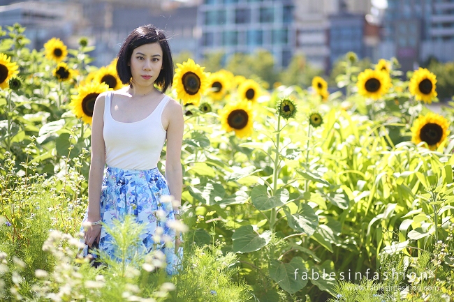 Melbourne City Sunflowers