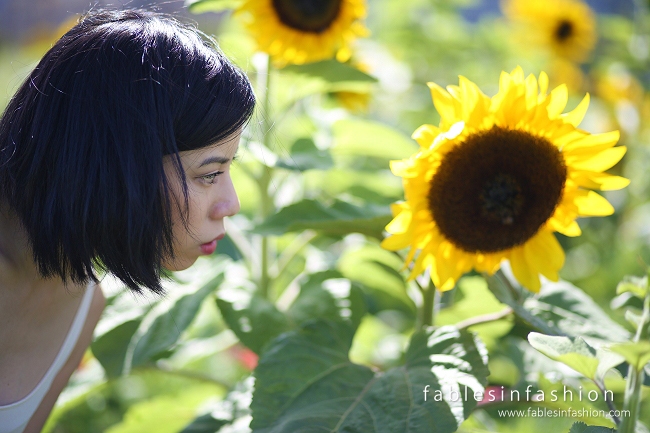 Melbourne City Sunflowers