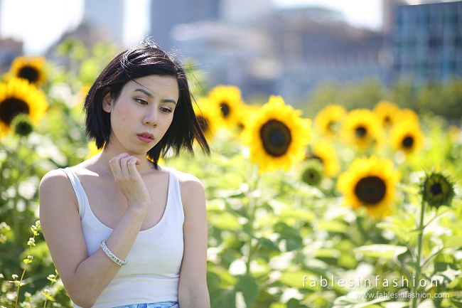 Melbourne City Sunflowers