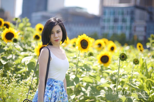 Melbourne City Sunflowers