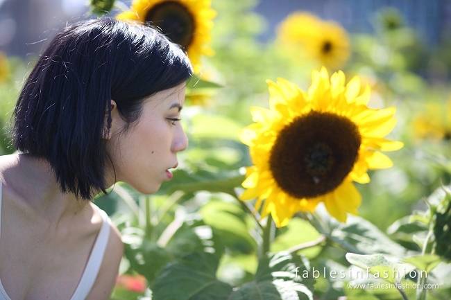 Melbourne City Sunflowers