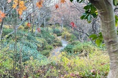 09-roppongi-park-autumn-leaves